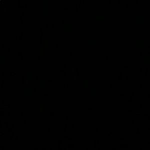 Meet your Posher, Forrest